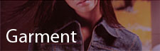 Garment